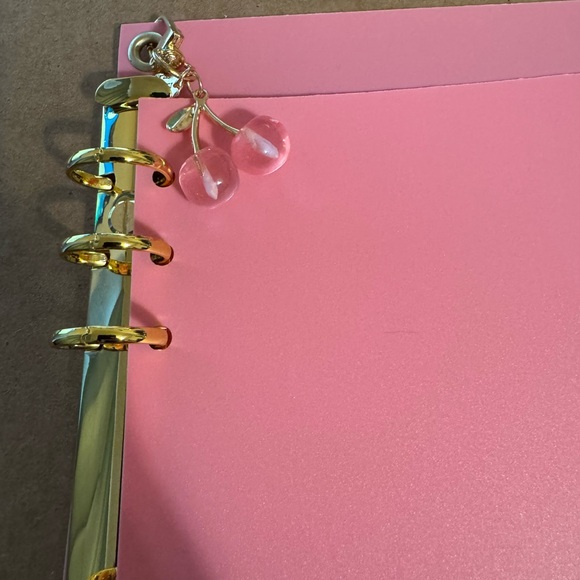 Custom made Coach notebook binder insert- Pink with Gold Rings - Picture 6 of 6